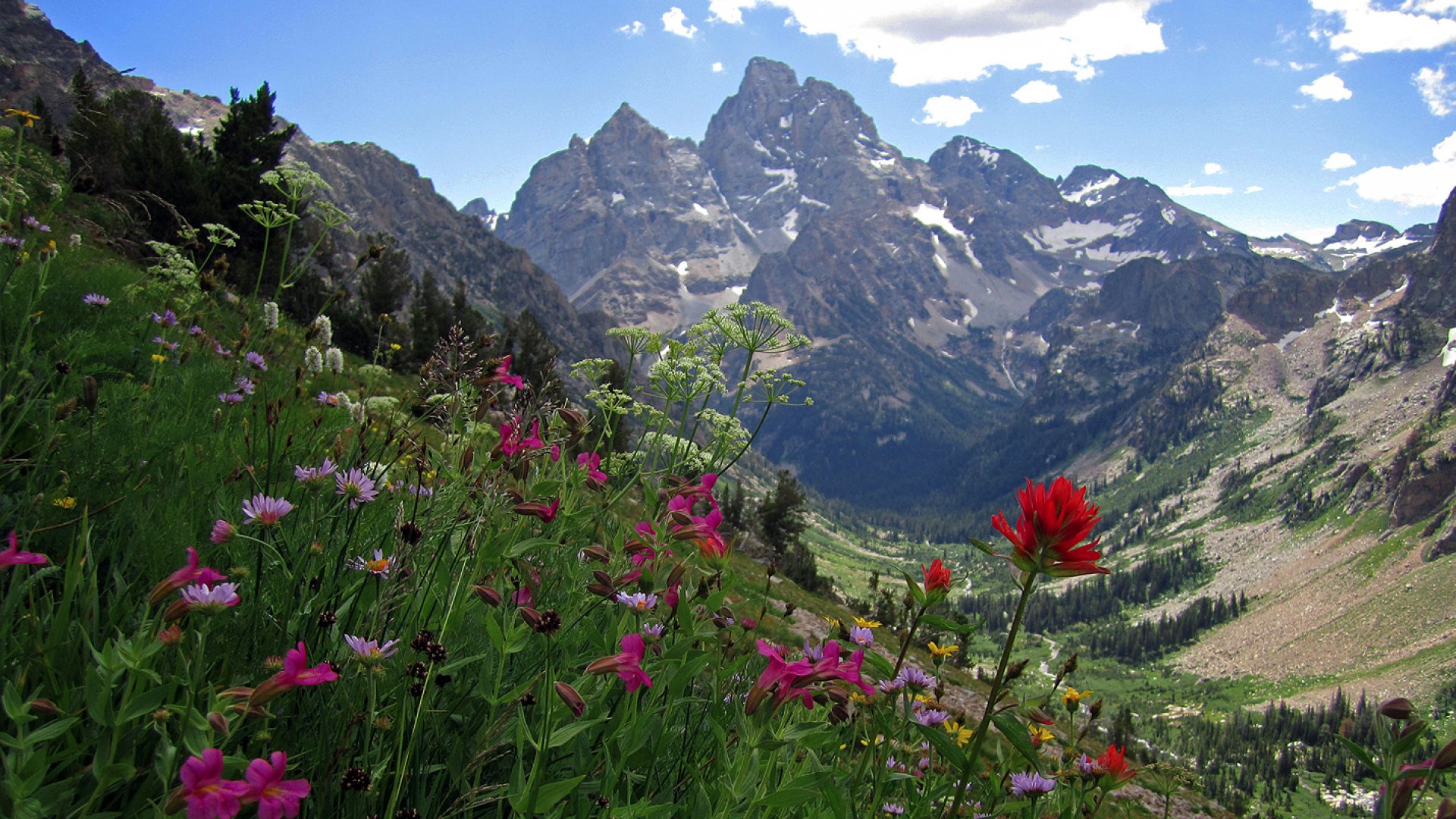 Visit Jackson Hole Jackson Hole Wyoming Visitor Information